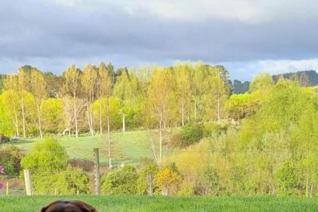 Maymorn Orchard Suites Upper Hutt Bagian luar foto
