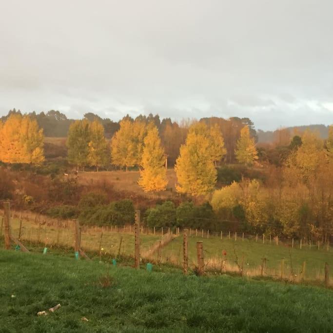 Maymorn Orchard Suites Upper Hutt Bagian luar foto