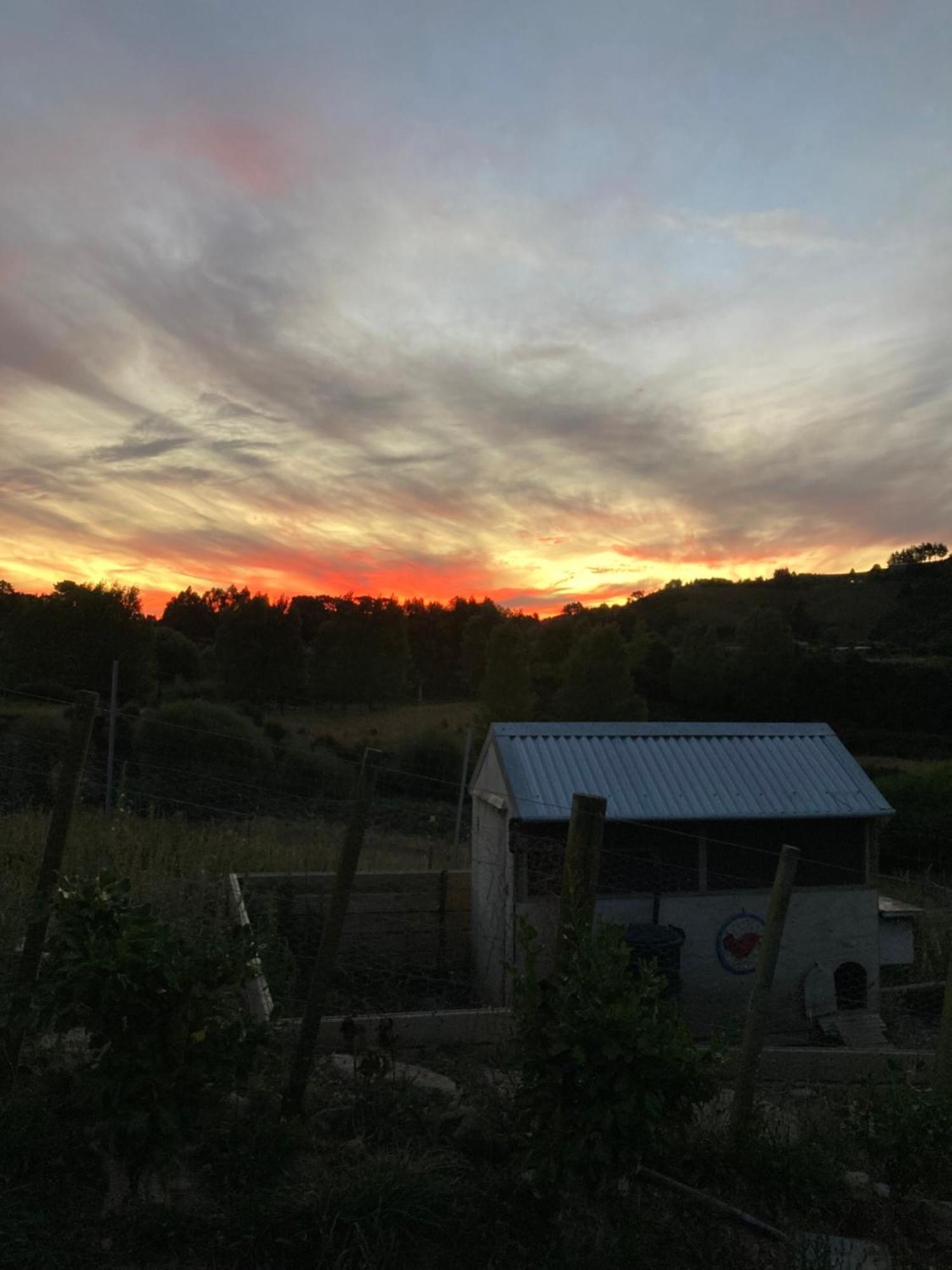 Maymorn Orchard Suites Upper Hutt Bagian luar foto